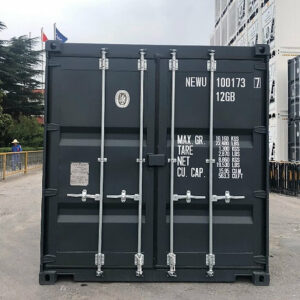 Conteneur maritime à sens unique de 10' DC-Neuf